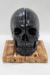 THE BLACKENED TEETH / Skull Bookends   H-25-04-01-053-PU-ZA-KB-ZH