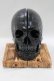 画像1: THE BLACKENED TEETH / Skull Bookends   H-25-04-01-053-PU-ZA-KB-ZH (1)
