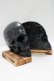 画像2: THE BLACKENED TEETH / Skull Bookends   H-25-04-01-053-PU-ZA-KB-ZH (2)
