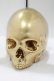 画像2: THE BLACKENED TEETH / Skull Vanity Mirror   H-25-04-01-054-PU-ZA-KB-ZH (2)