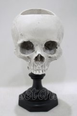 THE BLACKENED TEETH / Skull of J.Doe Plinth Pot Version   H-25-04-01-056-PU-ZA-KB-ZH