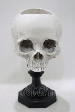 画像1: THE BLACKENED TEETH / Skull of J.Doe Plinth Pot Version   H-25-04-01-056-PU-ZA-KB-ZH