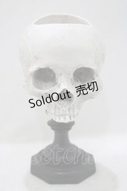 画像1: THE BLACKENED TEETH / Skull of J.Doe Plinth Pot Version   H-25-04-01-056-PU-ZA-KB-ZH