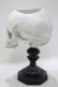 画像2: THE BLACKENED TEETH / Skull of J.Doe Plinth Pot Version   H-25-04-01-056-PU-ZA-KB-ZH (2)
