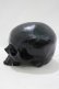 画像2: THE BLACKENED TEETH / Black Skull Replica Ornament   H-25-04-01-057-PU-ZA-KB-ZH (2)