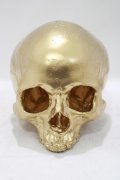 THE BLACKENED TEETH / Gold Skull Replica Ornament   H-25-04-01-058-PU-ZA-KB-ZH