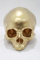 THE BLACKENED TEETH / Gold Skull Replica Ornament   H-25-04-01-058-PU-ZA-KB-ZH