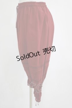 画像2: Victorian maiden / ローズコールドロワーズ Free ボルドー H-25-04-02-030-CL-PA-NS-ZH