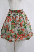 Jane Marple / スプリングガーデンのミニスカート  グレー H-25-04-04-041-JM-SK-KB-ZH