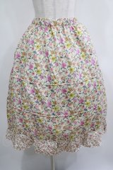 Jane Marple Dans Le Salon / Gouache Garden Crinoline Skirt  アイボリー H-25-04-04-020-JM-SK-KB-ZH