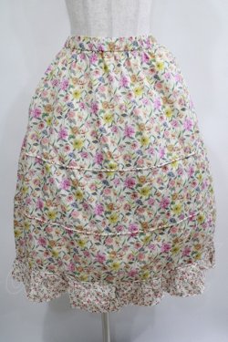 画像1: Jane Marple Dans Le Salon / Gouache Garden Crinoline Skirt  アイボリー H-25-04-04-020-JM-SK-KB-ZH