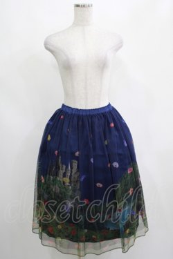 画像4: Jane Marple / Dreamy Dreamミドルチュチュスカート  トワイライト H-25-04-04-022-JM-SK-KB-ZH