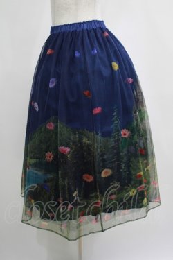 画像2: Jane Marple / Dreamy Dreamミドルチュチュスカート  トワイライト H-25-04-04-022-JM-SK-KB-ZH