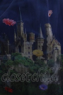 画像5: Jane Marple / Dreamy Dreamミドルチュチュスカート  トワイライト H-25-04-04-022-JM-SK-KB-ZH
