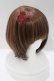 画像2: Enchantlic Enchantilly / 魔法のアタッチメント  ボルドー H-25-04-06-1076-LO-ZA-NS-ZH (2)