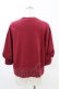 画像2: Jane Marple Dans Le Salon / Half puffy sleeve sweatshirt  ワイン H-25-04-07-033-JM-TO-KB-ZH (2)