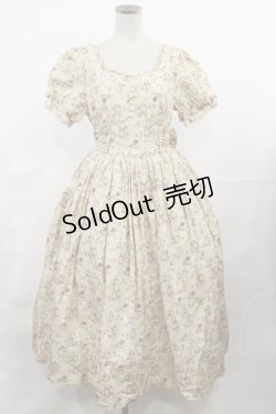 画像1: Camellia（海外ロリータブランド） / ロングワンピース L アイボリー H-25-04-09-1015-LO-OP-NS-ZH