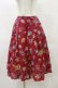 画像1: Jane Marple / Flower marketのダブルスカート  ローズ H-25-04-11-1047-JM-SK-KB-ZH (1)