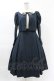 画像1: Maison de FLEUR Petite Robe canone / クロエが微笑むワンピース（チェック） M Green H-25-04-11-005-EL-OP-NS-ZH (1)
