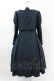 画像2: Maison de FLEUR Petite Robe canone / クロエが微笑むワンピース（チェック） M Green H-25-04-11-005-EL-OP-NS-ZH (2)