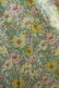 画像4: Jane Marple Dans Le Salon / Meadow Songのサロペットドレス  イエロー H-25-04-12-054-JM-PA-KB-ZH (4)