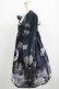 画像2: Royal Princess Alice / Fairy Night Never Landワンピース Free ブラック H-25-04-14-1007-LO-OP-NS-ZH (2)