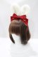 画像4: Angelic Pretty / Lovely BunnyジャンパースカートSET Free ワイン H-25-04-14-1001-AP-OP-NS-ZH (4)