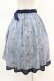 画像2: axes femme POETIQUE / プリュムプリントベルト付スカート M ブルーグレー H-25-04-14-018-AX-SK-NS-ZH (2)