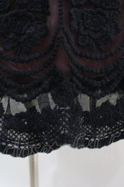 画像3: BPN / 刺繍チュールミドルスカート  黒×モーヴ H-25-04-20-1032-GO-SK-KB-ZH