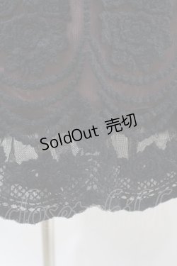 画像3: BPN / 刺繍チュールミドルスカート  黒×モーヴ H-25-04-20-1032-GO-SK-KB-ZH