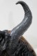 画像3: Restyle / Evil Queen Horns Headband one size 黒 H-25-04-21-1072-GO-AC-KB-ZH (3)