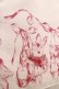 画像4: Emily Temple cute / Crown BUNNYキャミワンピース  ピンク H-25-04-21-1012-ET-OP-KB-ZH (4)