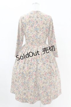 画像2: an another angelus / 絵画風ローズ柄ワンピース Free BROWN H-25-04-21-008-CA-OP-NS-ZH