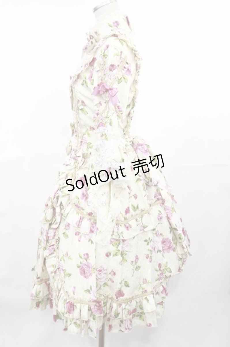 画像2: metamorphose / Eternal Queen ワンピース(バラ柄サテンジャガード) Free オフ H-25-04-22-1006-ME-OP-NS-ZH (2)