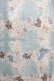 画像4: Fi.n.t / レース付け衿レトロフラワーチェック柄ワンピース Free SAX×WH H-25-04-23-018-CA-OP-NS-ZH (4)