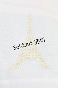 画像3: Fi.n.t / エッフェル塔刺繍入りチェックストール Free BEIGE×BLUE H-25-04-24-1061-CA-TO-NS-ZH