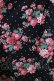 画像4: Jane Marple / Strawberries and flowersラッフルフリルドレス  ブラック H-25-04-24-012-JM-OP-KB-ZH (4)