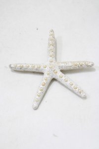 MILK / starfishヘアピン   H-25-04-27-071-ML-AC-KB-ZH