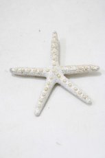 画像1: MILK / starfishヘアピン   H-25-10-03-1026-ML-AC-KB-ZH (1)
