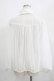 画像3: Swankiss / chiffontulle B/L Free オフ H-25-05-01-045-CA-BL-NS-ZH (3)