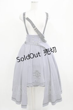 画像1: Amavel / Histoire Epeist レイヤードスカート Free ブルー H-25-05-01-015-CA-SK-NS-ZH