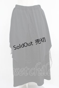 画像1: SEX POT ReVeNGe / メッシュレイヤードロングスカート  黒 H-25-05-02-010-SP-SK-KB-ZH