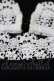 画像3: Jane Marple Dans Le Salon / レースハイネックトップス  ブラック H-25-05-06-1051-JM-TO-KB-ZH (3)