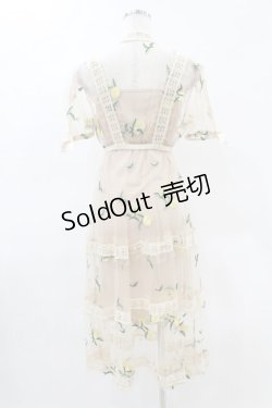 画像2: Swankiss / レモン刺繍チュールワンピース Free ベージュ H-25-05-08-039-CA-OP-NS-ZH