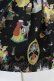 画像5: Jane Marple / クラシックSnow Whiteワンピース  ブラック H-25-05-10-1023-JM-OP-KB-ZH