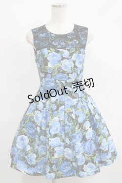 画像1: JESUS DIAMANTE / ロマンスドールワンピ【バロックローズ柄】 38 バロックブルーローズ柄 H-25-05-13-030-JE-OP-NS-ZH