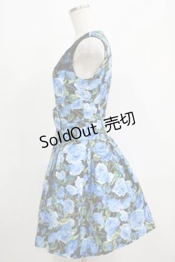 画像2: JESUS DIAMANTE / ロマンスドールワンピ【バロックローズ柄】 38 バロックブルーローズ柄 H-25-05-13-030-JE-OP-NS-ZH