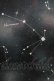 画像6: axes femme POETIQUE / 冬の星座柄ハートネックワンピース M ブラック H-25-05-16-1019-AX-OP-NS-ZH