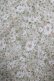 画像4: Fi.n.t / ペイントマーガレット柄ワンピース Free BEIGE H-25-05-16-1038-CA-OP-NS-ZH (4)