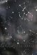 画像4: axes femme POETIQUE / 冬の星座柄ハートネックワンピース M ブラック H-25-05-16-1019-AX-OP-NS-ZH